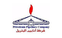 Petroleum Pipelines